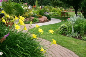 Garden Landscape Designers in Croydon, Bromley & South London